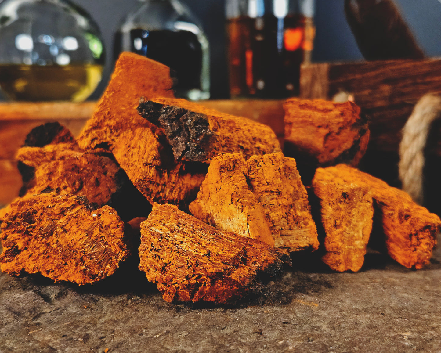 Chaga Mushroom