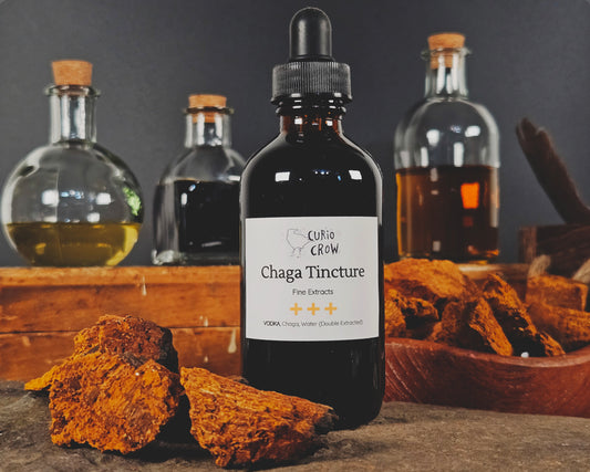 Chaga Mushroom